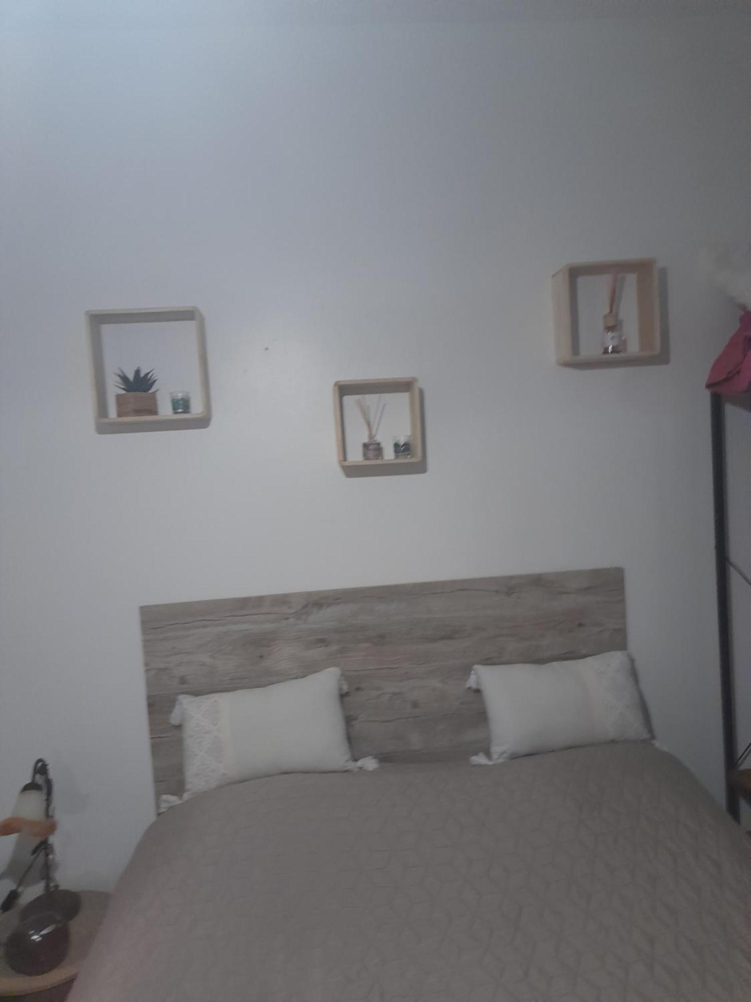 Studio Cosy Proche Centre Mpl/ Pk Gratuit Montpellier Dış mekan fotoğraf