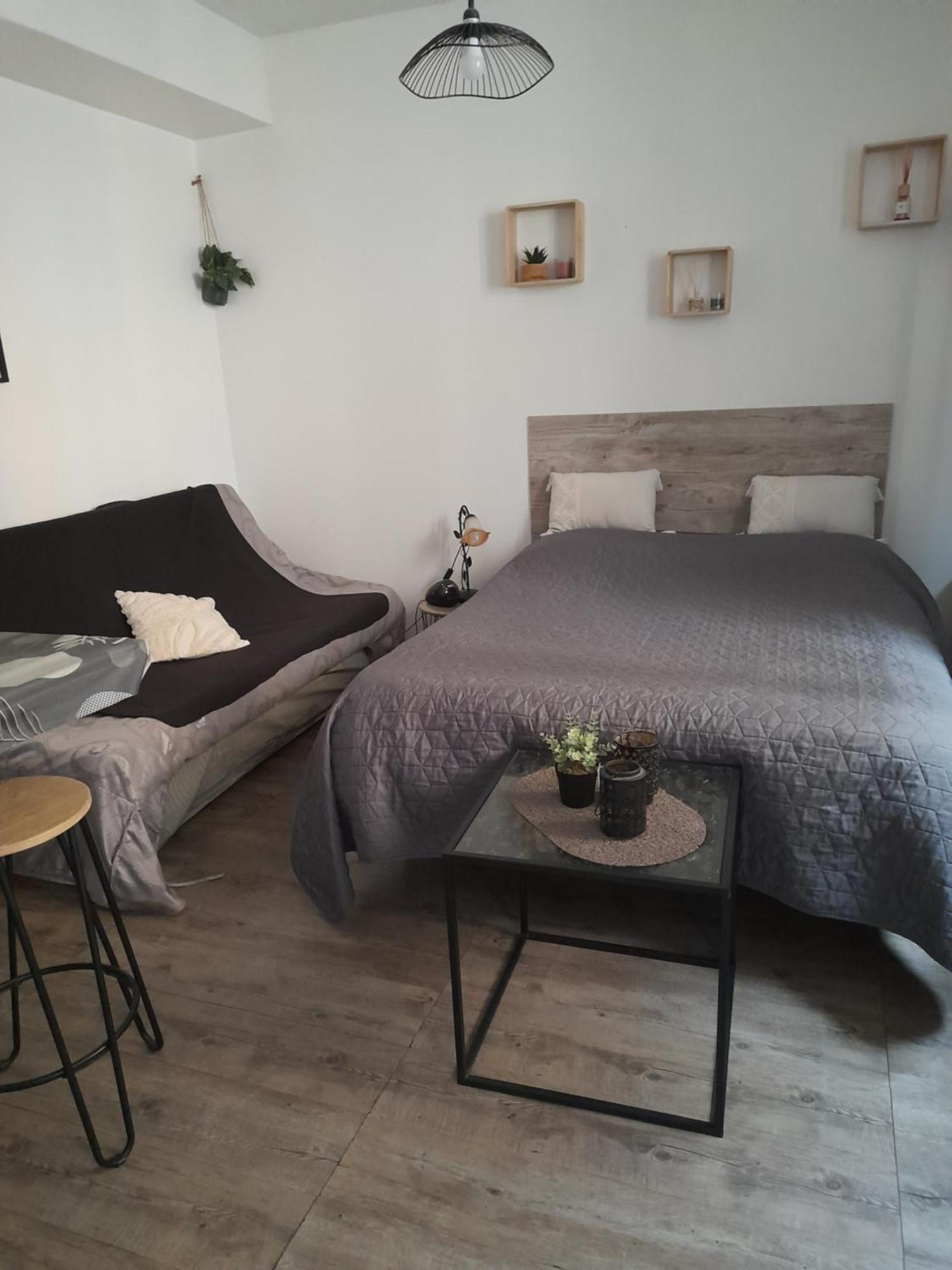 Studio Cosy Proche Centre Mpl/ Pk Gratuit Montpellier Dış mekan fotoğraf